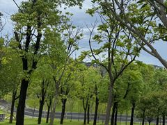 -牛岗山公园