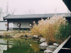 -水西公园