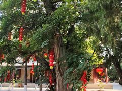 -尧庙景区