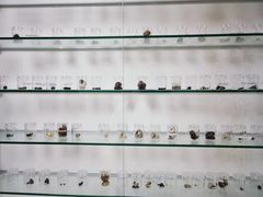 -上海市东方医院(总院)