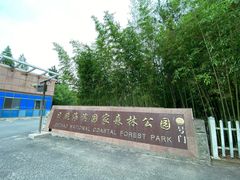 -日照海滨国家森林公园
