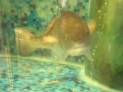 -顺峰海鲜酒楼(省府店)