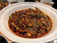 -情妹耙泥鳅·江湖川菜(科华店)