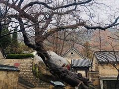 -青岛崂山太清宫