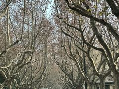 -一尺花园(安和花园店)