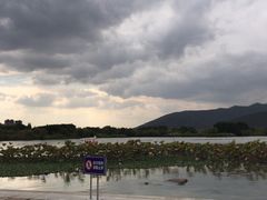 -长田漾湿地公园