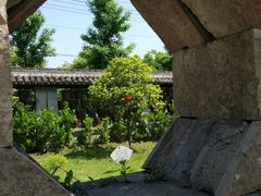 -鄞州雪菜博物馆