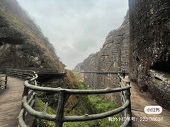 -江西龙虎山景区