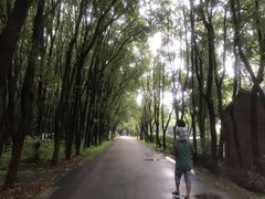 -同里国家湿地公园
