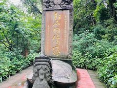 -青城山