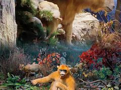 -陕西自然博物馆