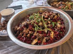-食神又名厕所兔