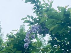 -郑和公园