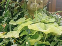 -欧洲房子(宜必思店)