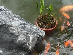-永膳精致本味湘菜(麓谷店)