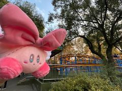 -上海共青森林公园