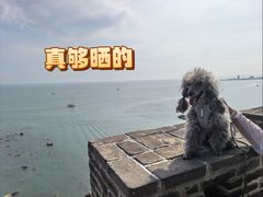 -蓬莱阁景区