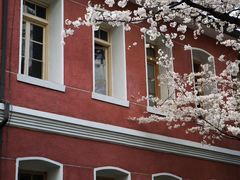 -浙江省杭州高级中学(贡院校区)