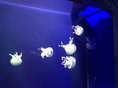 -台州海洋世界