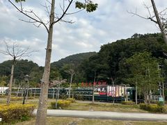 -广州市流溪河国家森林公园