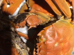 -巴倒烫陆派火锅(捉马东大街店)