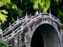 -深圳仙湖植物园