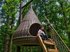 -黄海国家森林公园