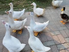 -上海交通大学(闵行校区)