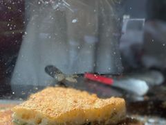 -潘记老面羌饼