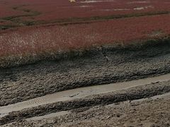 -盘锦红海温泉乐园