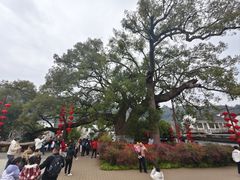 -新安江山水画廊风景区
