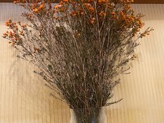 -萤火虫咖啡(后海店)