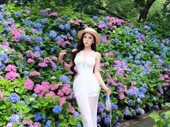 -沈阳植物园