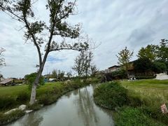 -两河城市森林公园