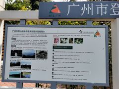 -火炉山森林公园