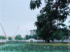 -长洲岛
