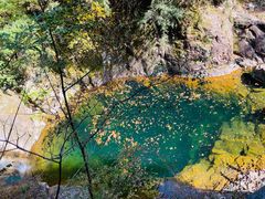 -花岩国家森林公园