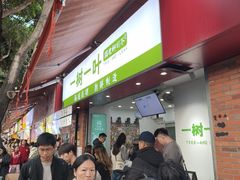 -一树一叶·福建茶档(石鼓路店)