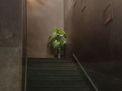 -全聚德(和平路店)