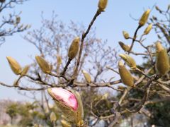 -浮山香苑