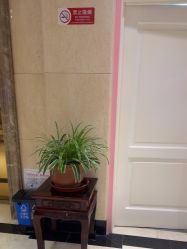 -北京俪婴妇产医院(朝阳大悦城店)