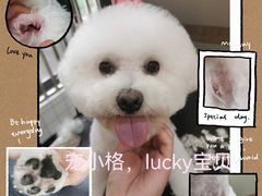 -宠小格时尚宠物生活馆(唐镇店)