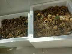 -太原面食店(解放路店)