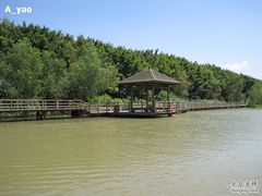 -大湾区中央湿地公园