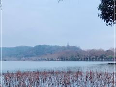 -湖畔居茶楼(湖滨店)