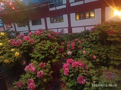 -曹州百花园