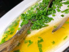 清蒸白鱼-京城小江南·北京烤鸭·江南土菜·白鱼(中关村店)