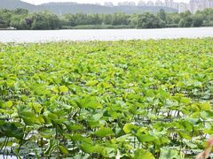 -云龙湖旅游景区