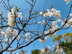 -鹤冈八幡宫