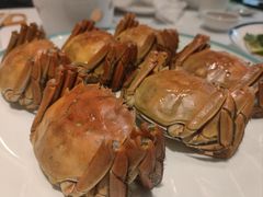 -西湖春天•老字号杭州菜(百汇店)